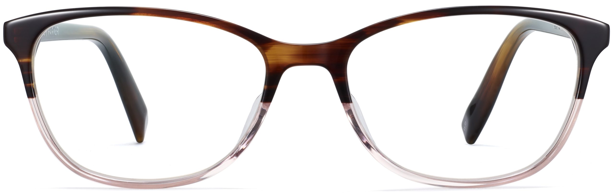 Daisy glasses in tea rose fade