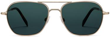 Abe sunglasses in Polished Gold