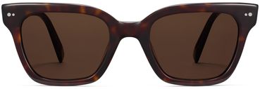 Beale sunglasses in Cognac Tortoise