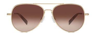 Raider sunglasses in Polished Gold