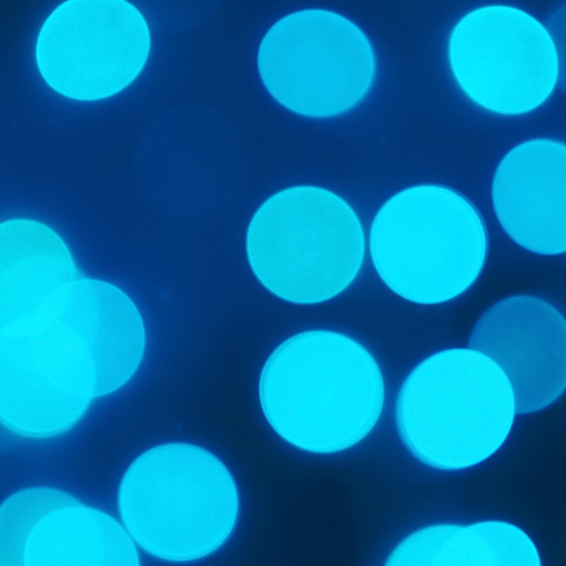 How people with astigmatism see lights
