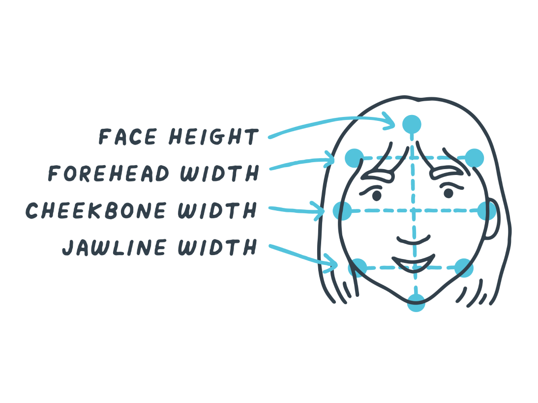 Diagram of a heart-shaped face illustrating relative width and height