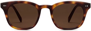 Newman sunglasses in Woodgrain Tortoise