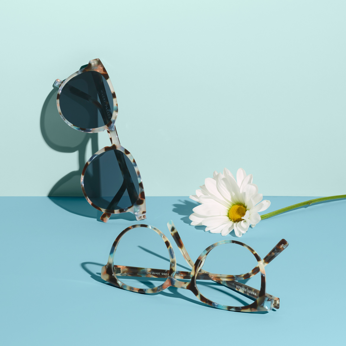 Tortoise-colored glasses and sunglasses