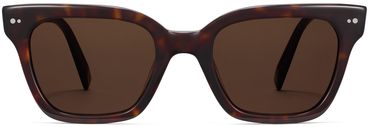 Beale sunglasses in Cognac Tortoise