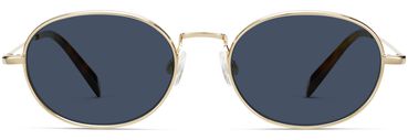 Albie Sunglasses in Polished Gold